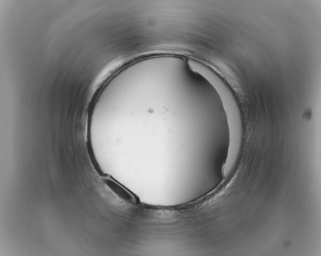 X0000089891180200707262223