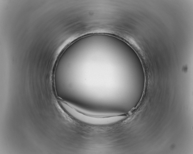 X0000089891181200707262223