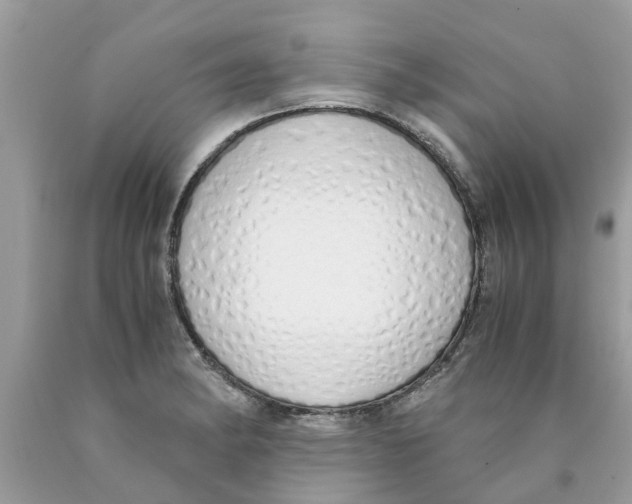 X0000089891182200707262223