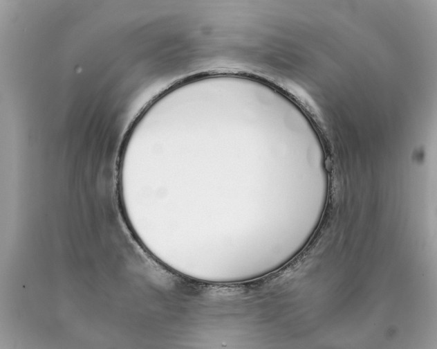 X0000089891183200707262223