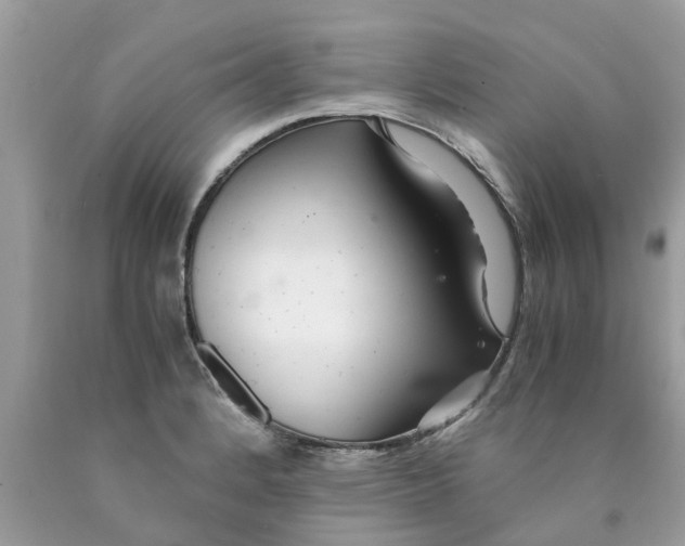 X0000089891184200707262223