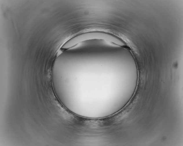 X0000089891185200707262223