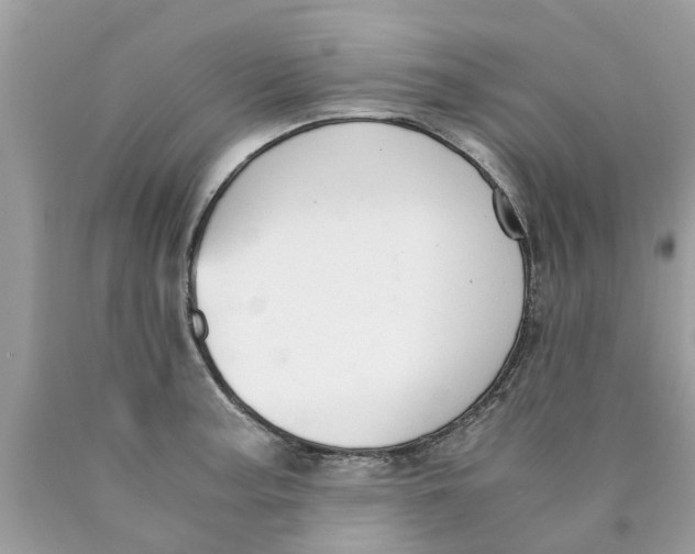 X0000089891187200707262223