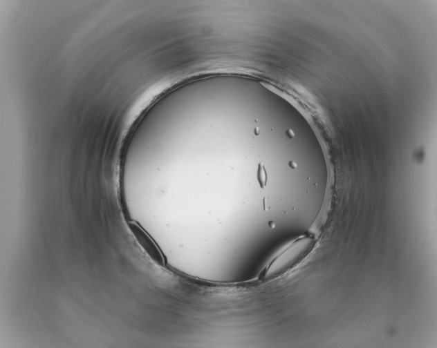 X0000089891188200707262223