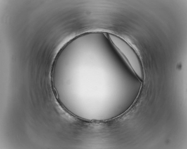 X0000089891189200707262223