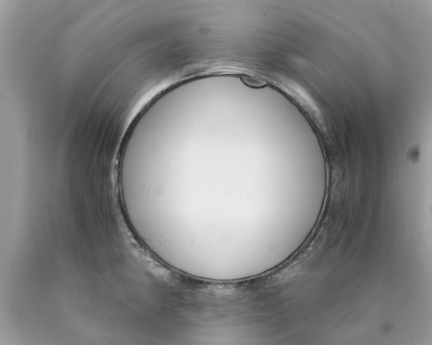 X0000089891190200707262223