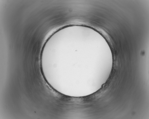 X0000089891191200707262223