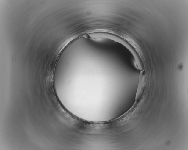 X0000089891193200707262223