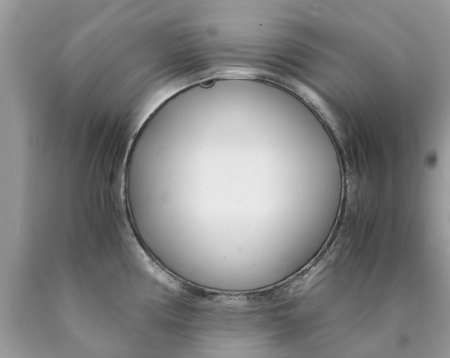 X0000089891194200707262223