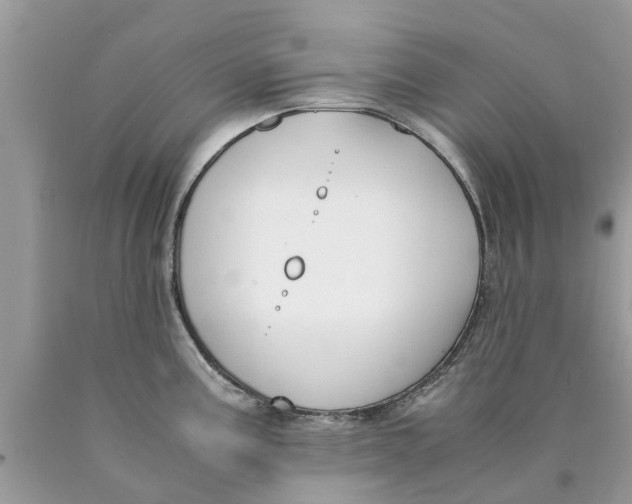 X0000089891195200707262223