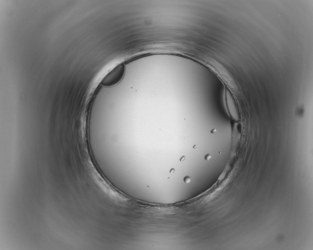 X0000089891196200707262223