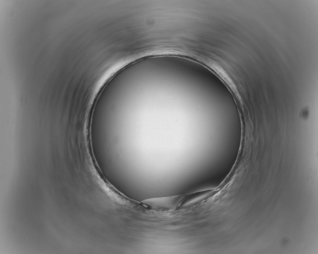 X0000089891197200707262223