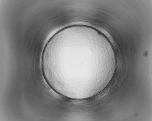 X0000089891199200707262223