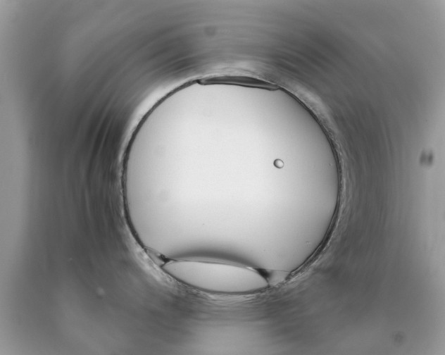 X0000089891200200707262223