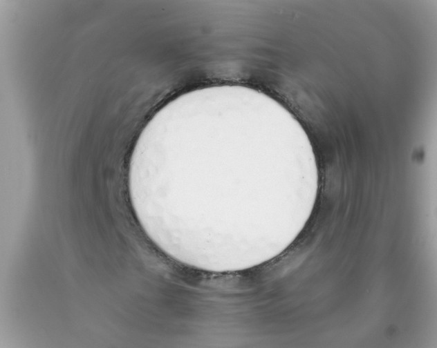 X0000089891201200707262222