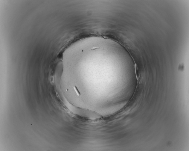 X0000089891202200707262223