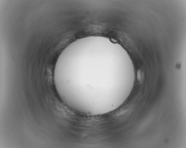 X0000089891203200707262223