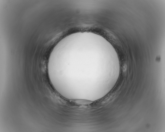 X0000089891204200707262223