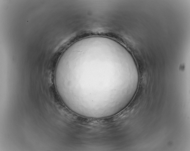 X0000089891205200707262223