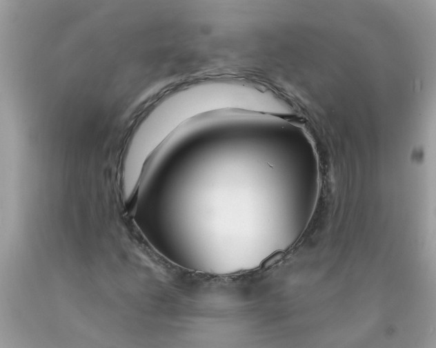 X0000089891206200707262223