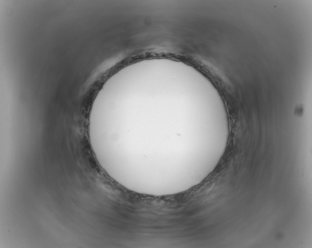 X0000089891207200707262223