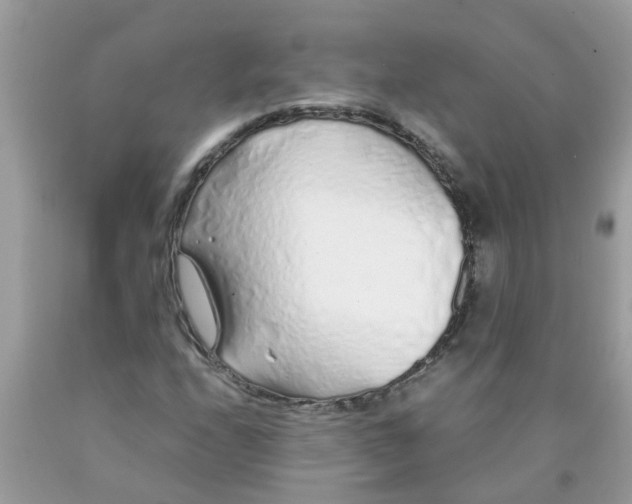 X0000089891208200707262223