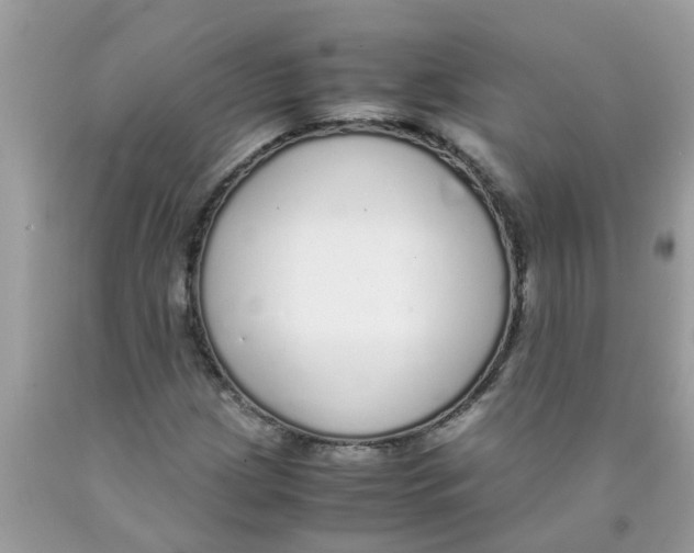 X0000089891209200707262223