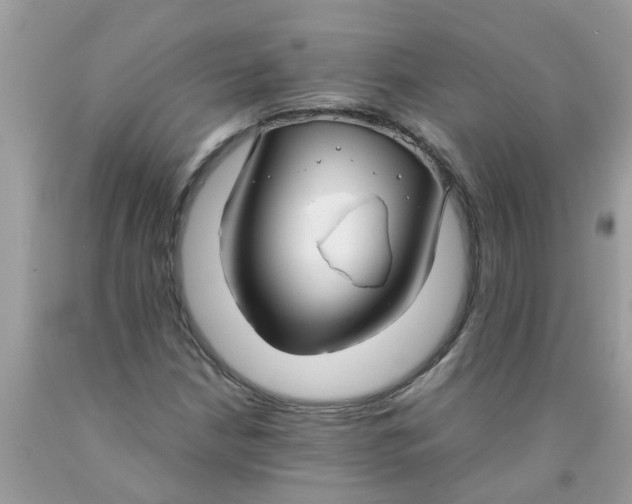 X0000089891210200707262223