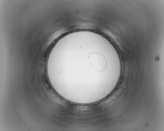 X0000089891211200707262223