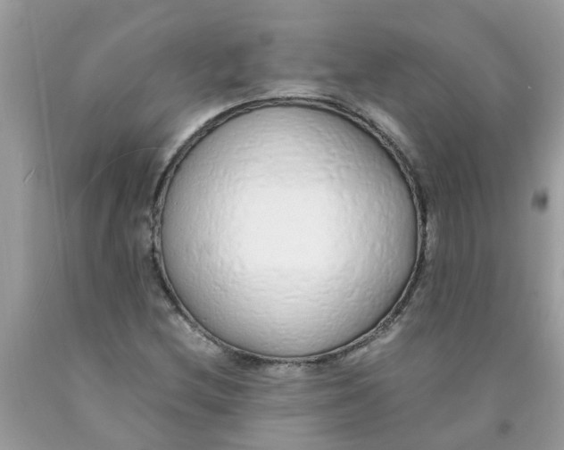 X0000089891212200707262223