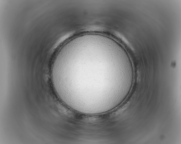 X0000089891213200707262223