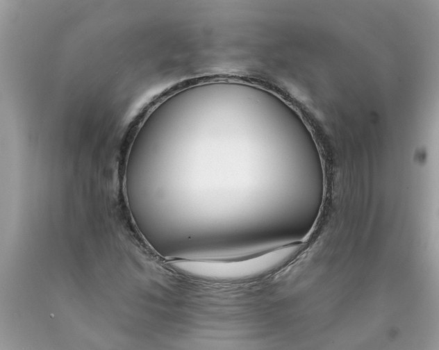 X0000089891214200707262223