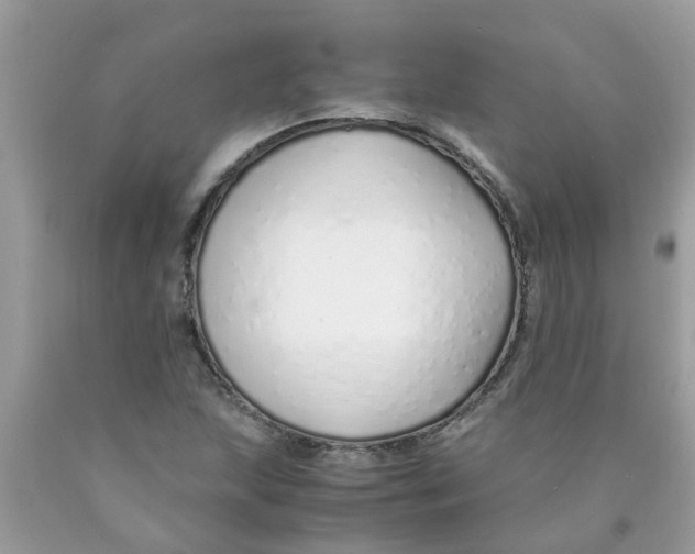 X0000089891215200707262223