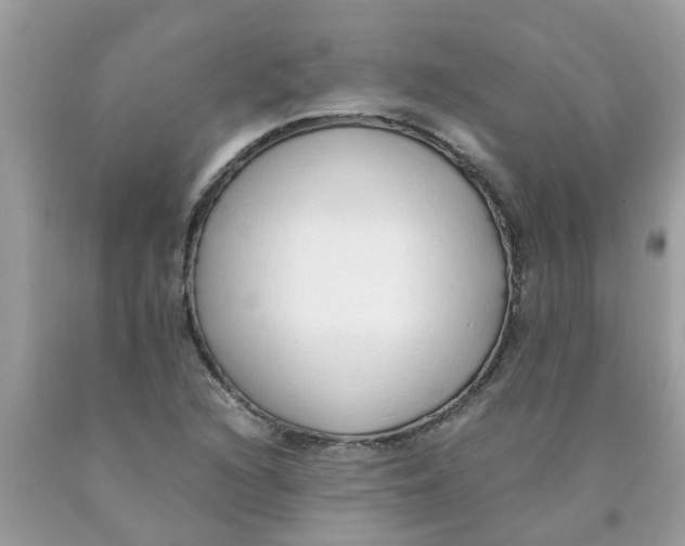 X0000089891216200707262223