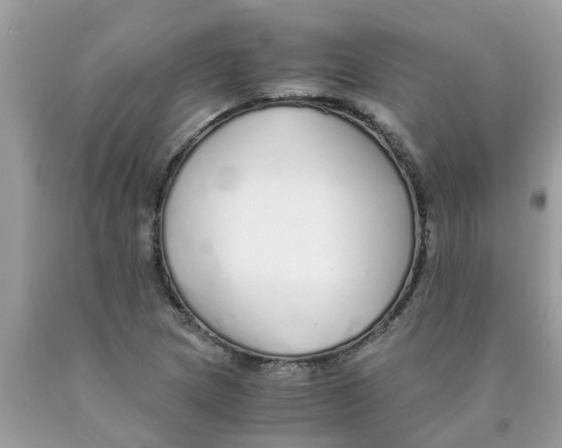 X0000089891217200707262223