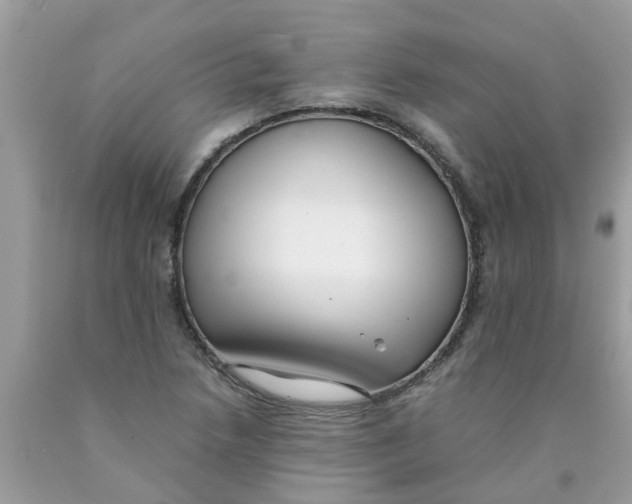 X0000089891218200707262223