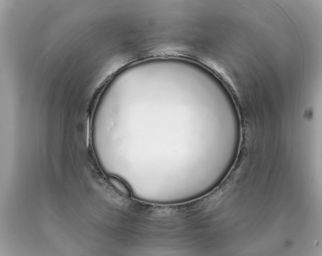 X0000089891219200707262223