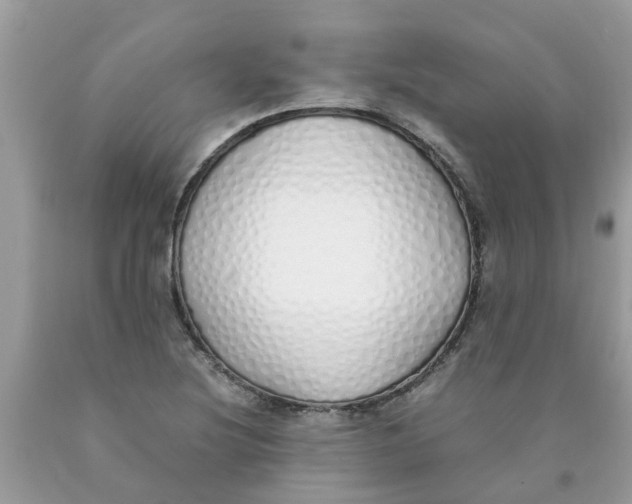 X0000089891220200707262223