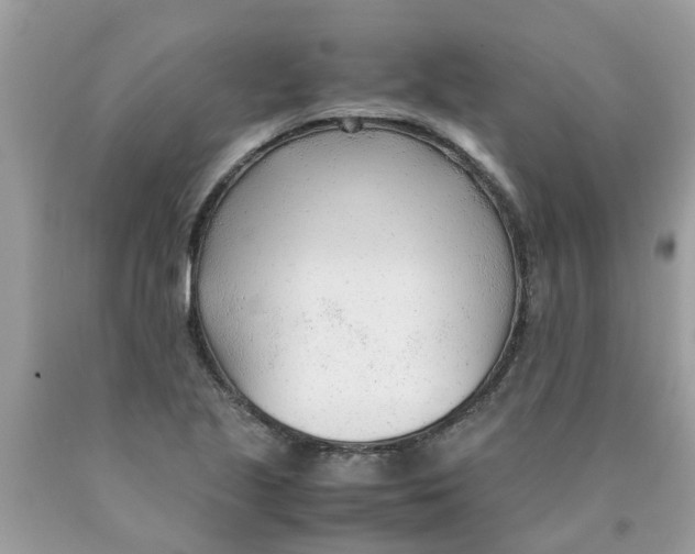 X0000089891221200707262223