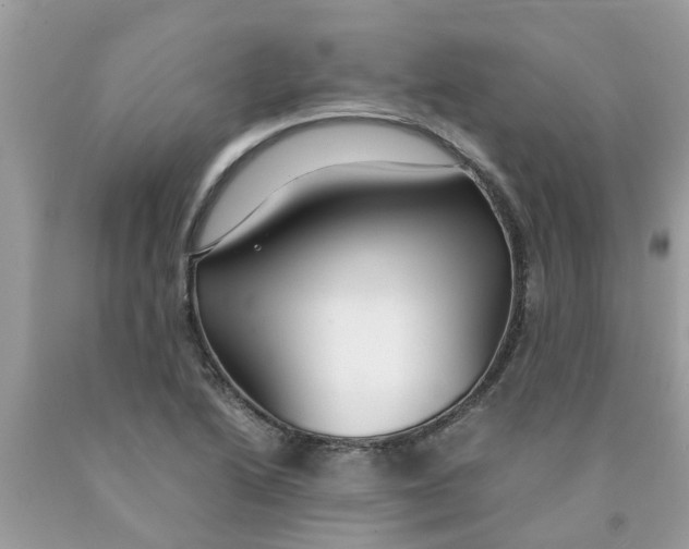 X0000089891222200707262223