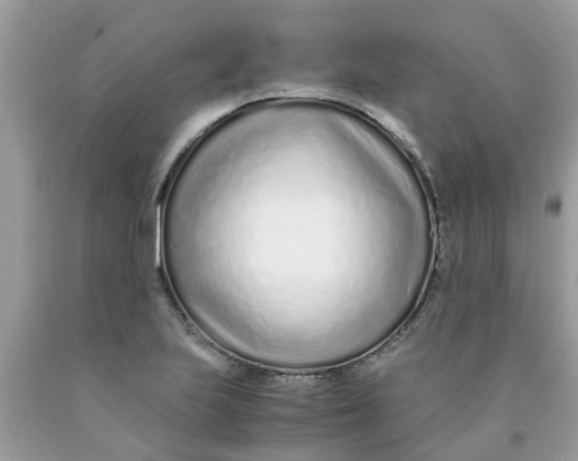 X0000089891223200707262223