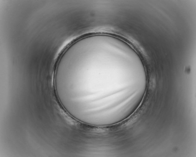 X0000089891224200707262223