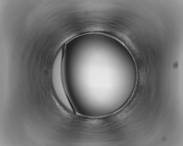 X0000089891225200707262223