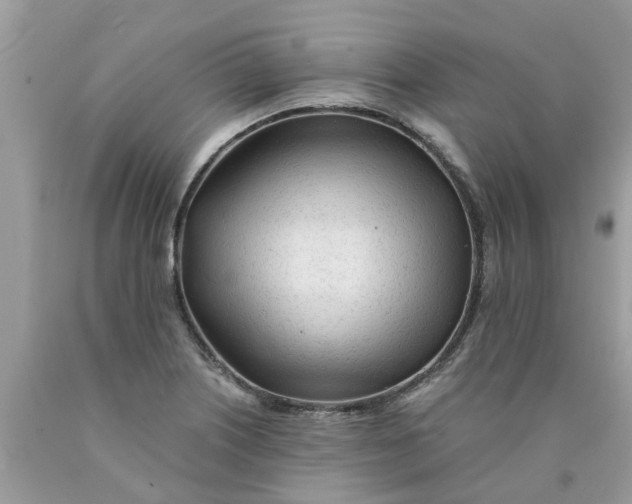 X0000089891226200707262223