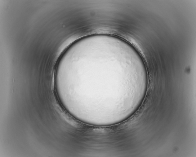 X0000089891227200707262223