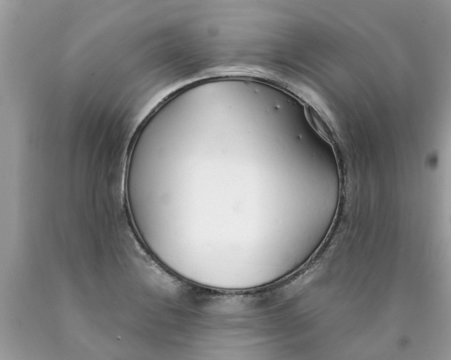 X0000089891228200707262223