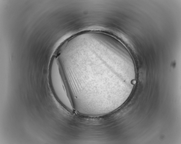 X0000089891229200707262223