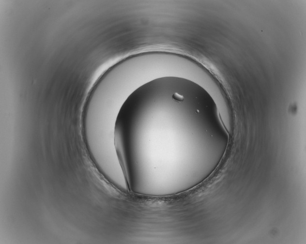 X0000089891230200707262223