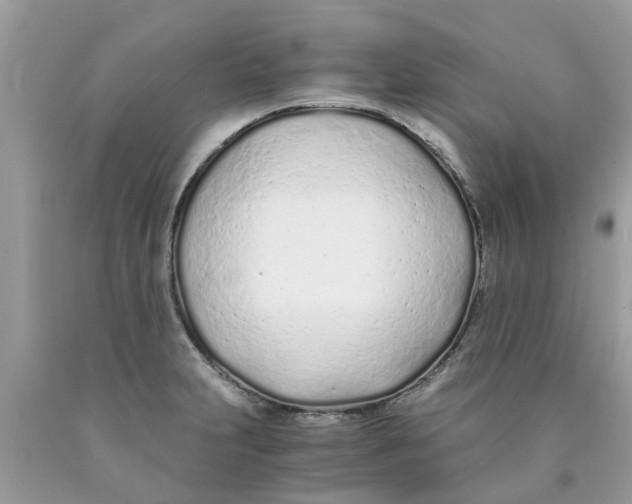 X0000089891231200707262223