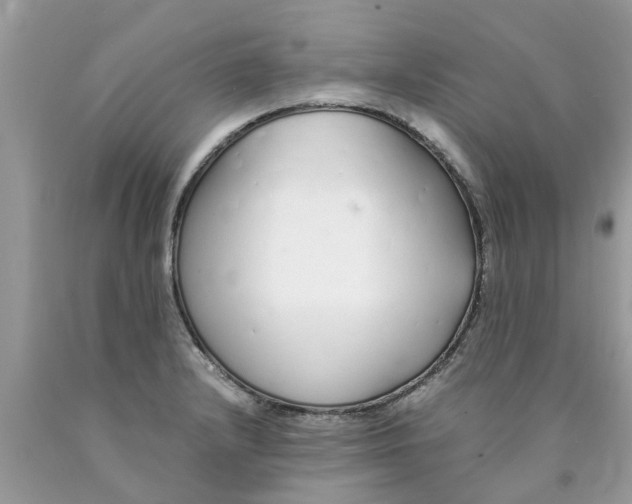 X0000089891232200707262223